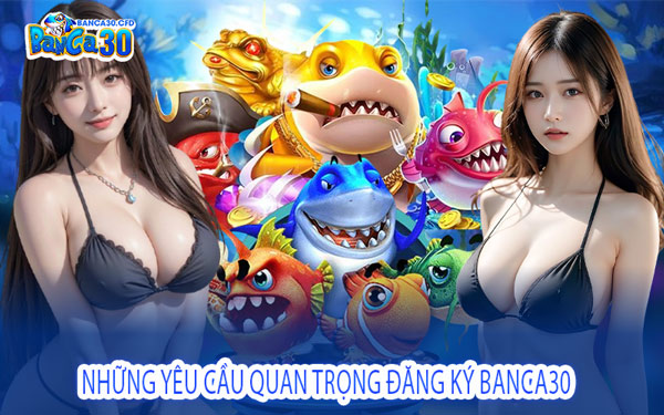 Những Yêu Cầu Quan Trọng Đăng Ký Banca30