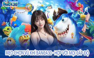 Mẹo Chọn Vũ Khí Banca30 - Hợp Với Mọi Cấp Độ