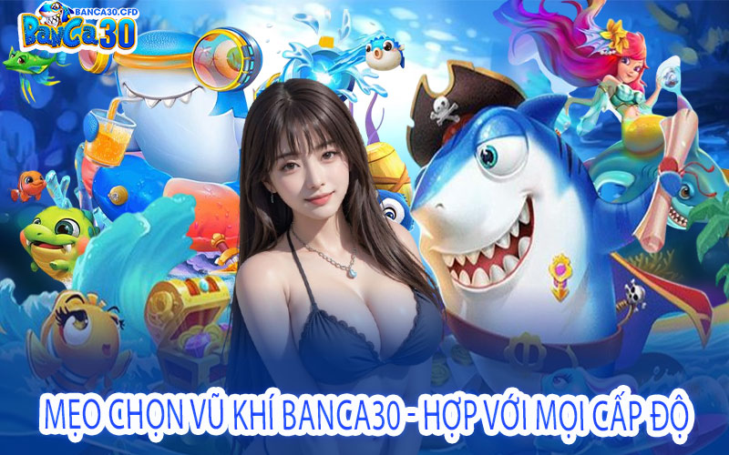 Mẹo Chọn Vũ Khí Banca30 - Hợp Với Mọi Cấp Độ