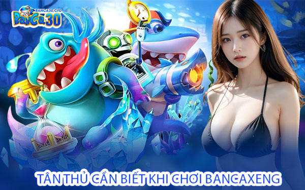 Tân Thủ Cần Biết Khi Chơi Bancaxeng