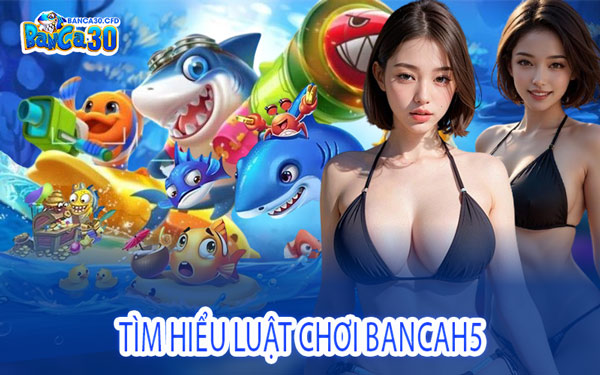 Tìm Hiểu Luật Chơi BancaH5