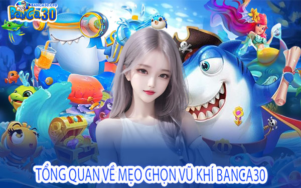 Tổng Quan Về Mẹo Chọn Vũ Khí Banca30